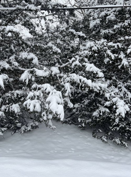 Still getting those steps in 🥾❄️ https://t.co/HGEXzjZi6o