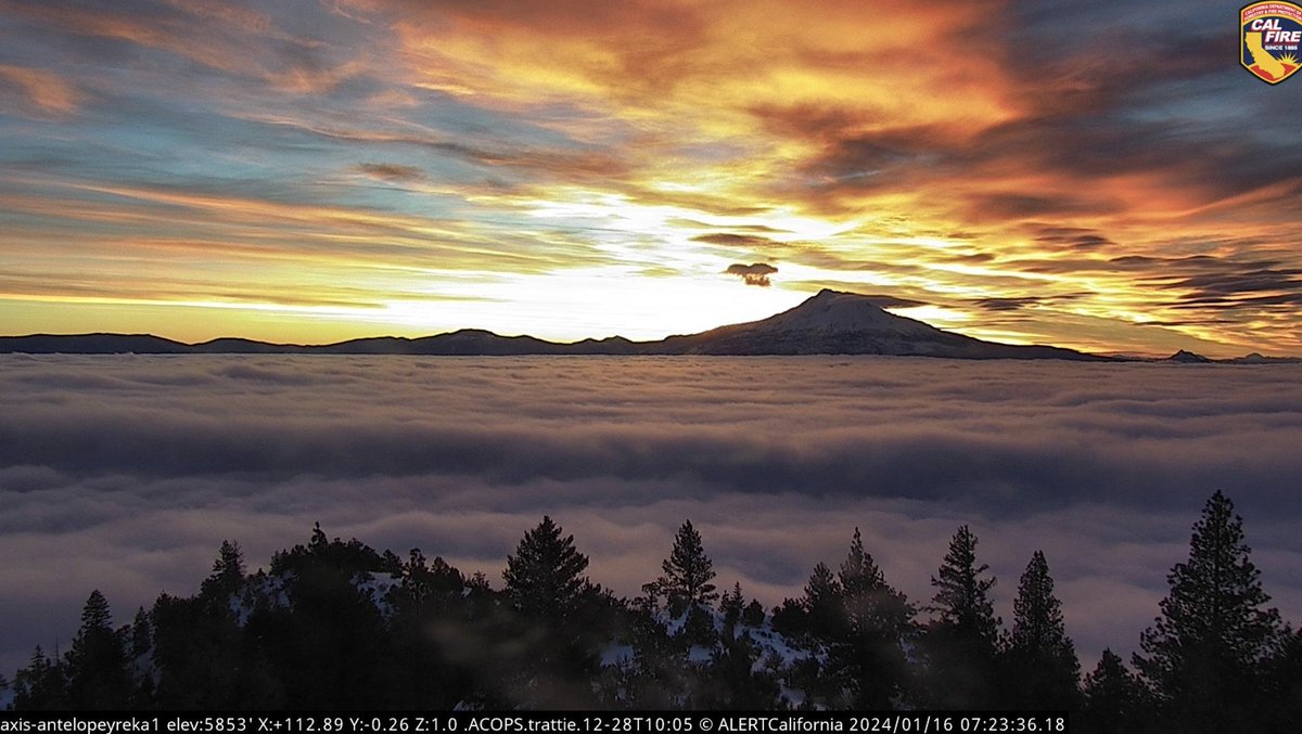 ALERTCalifornia tweet media