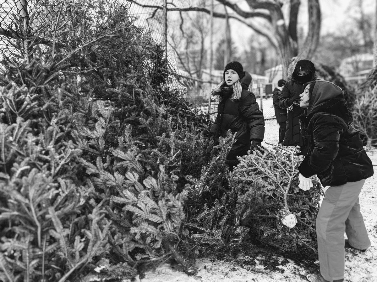 Teamwork + clear communication + good planning = stable structures <a href="/Bloorlea/">Bloorlea</a> <a href="/TOES_TDSB/">TOES_TDSB</a>