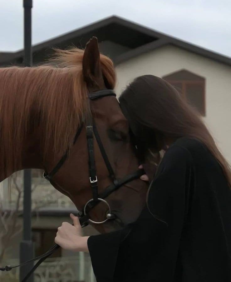 ᅠ (@sehviyat) on Twitter photo 