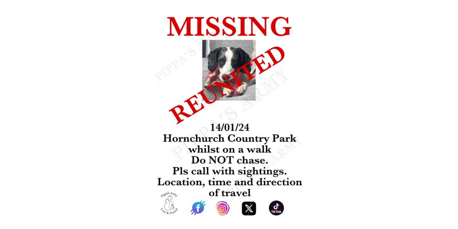 Pippa's Army (@pippasarmy) on Twitter photo Found this morning ❤️ back home safe n sound.
<a href="/HaveringDaily/">The Havering Daily</a> <a href="/MissingPetsGB/">Missing Pets GB</a> <a href="/rosieDoc2/">spaniel alert</a> Found this morning ❤️ back home safe n sound.
<a href="/HaveringDaily/">The Havering Daily</a> <a href="/MissingPetsGB/">Missing Pets GB</a> <a href="/rosieDoc2/">spaniel alert</a>