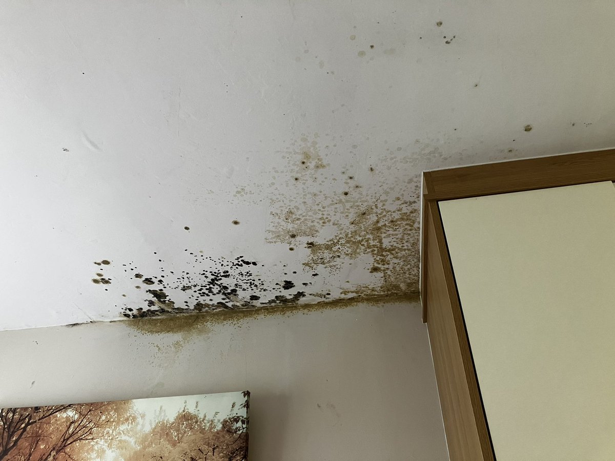 Fraggle128's tweet photo. @BBCLondonNews I’m watching an item on your programme about mould in flats. I have that problem too @ClarionHousing keep fobbing me off! https://t.co/gRdomTkmhO
