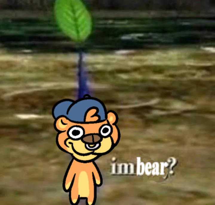 Honungsbjörn 🐻🍯 tweet media