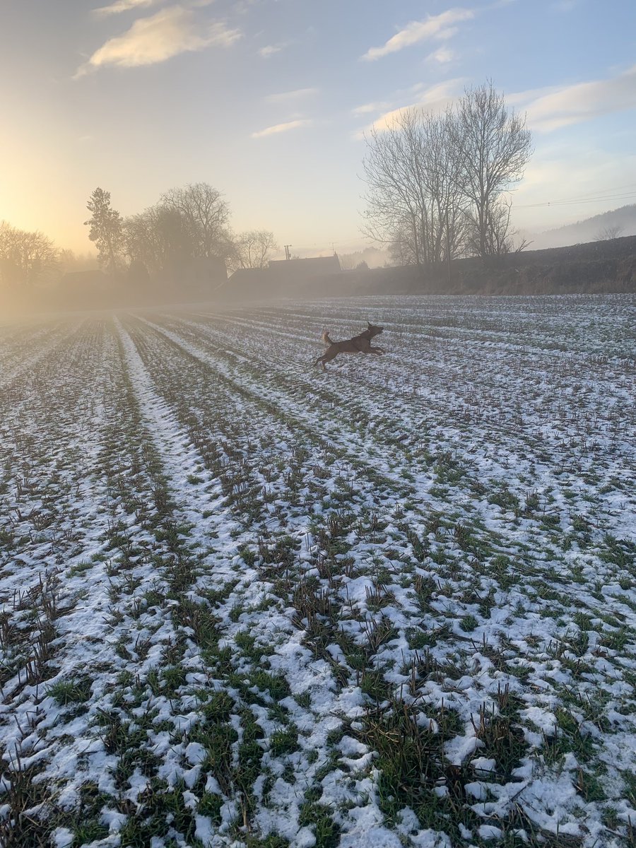 Fiona Struthers (@fionastruthers3) on Twitter photo We are hiring!!! 🏴📣📣
Fancy taking the leap and being as joyful as this guy! Come and join us in <a href="/NHSForthValley/">NHS Forth Valley</a> for a B5 post (diabetes/acute). Ok, we know it’s a a fixed term post but all good things start somewhere ☺️😉💫
apply.jobs.scot.nhs.uk/Job/JobDetail?… We are hiring!!! 🏴📣📣
Fancy taking the leap and being as joyful as this guy! Come and join us in <a href="/NHSForthValley/">NHS Forth Valley</a> for a B5 post (diabetes/acute). Ok, we know it’s a a fixed term post but all good things start somewhere ☺️😉💫
apply.jobs.scot.nhs.uk/Job/JobDetail?…