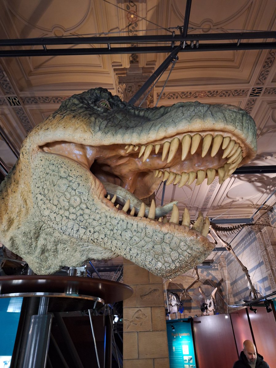 Alfredo Mateus 🧪⌬ tweet media