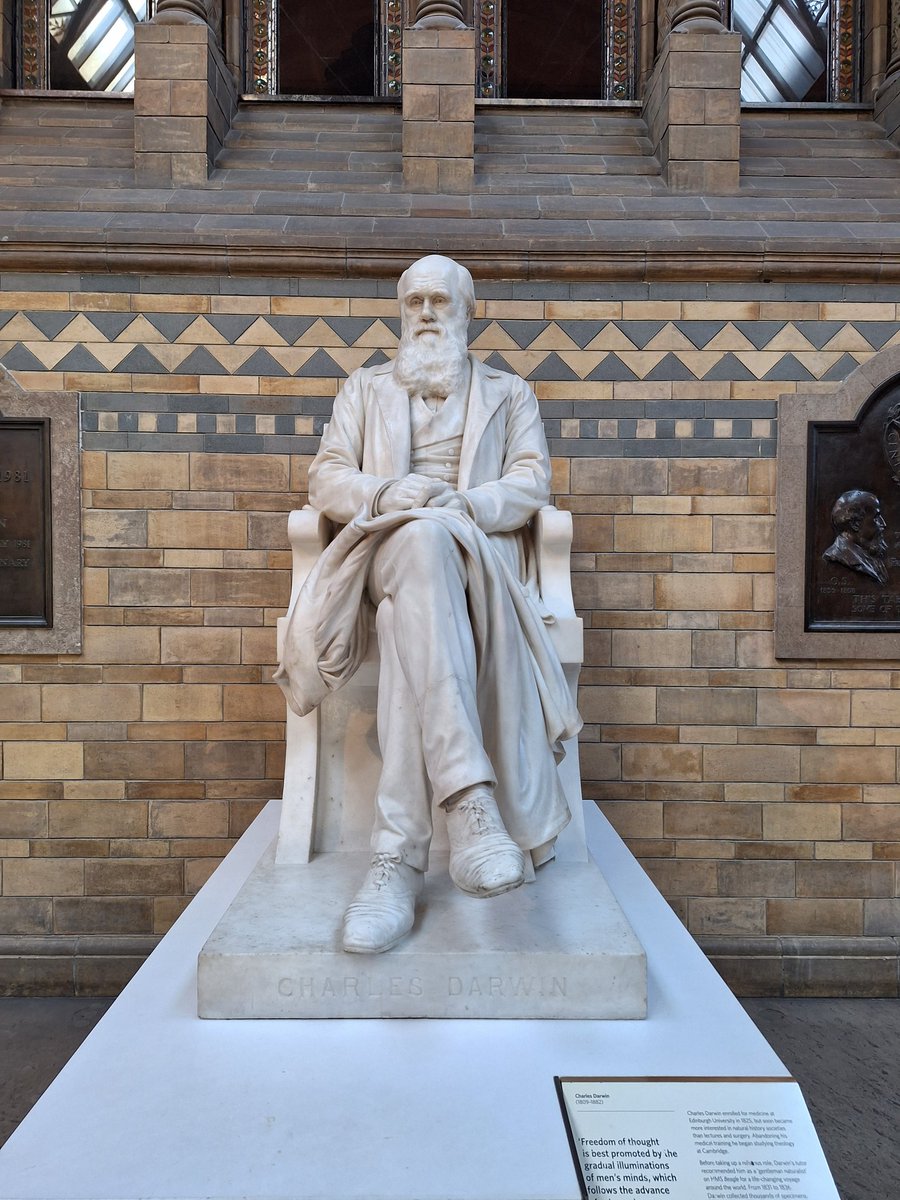 Alfredo Mateus 🧪⌬ tweet media