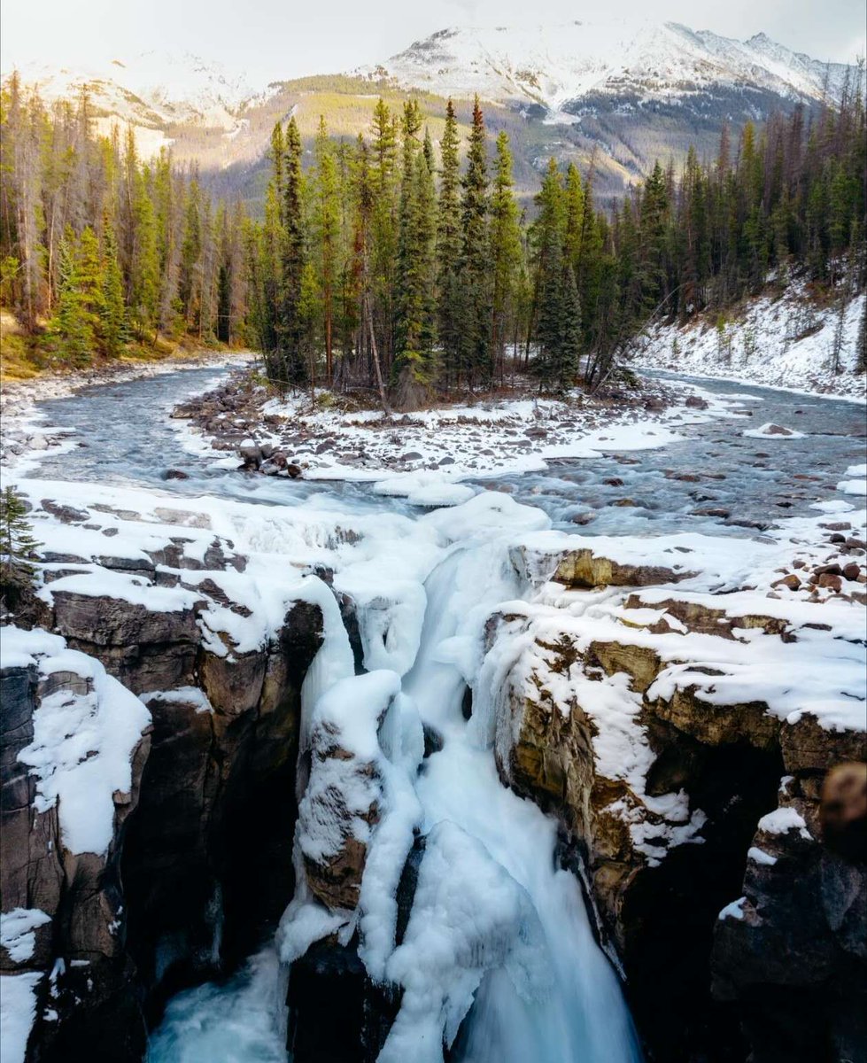 CalgaryExplorer tweet media