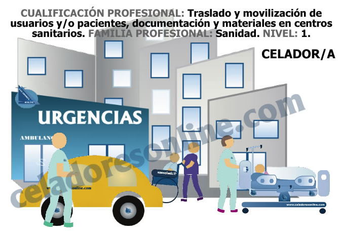 Cualificación Profesional de l@s CELADORES/AS de Instituciones Sanitarias... GD_Eo3eWAAEErO5?format=jpg&name=small