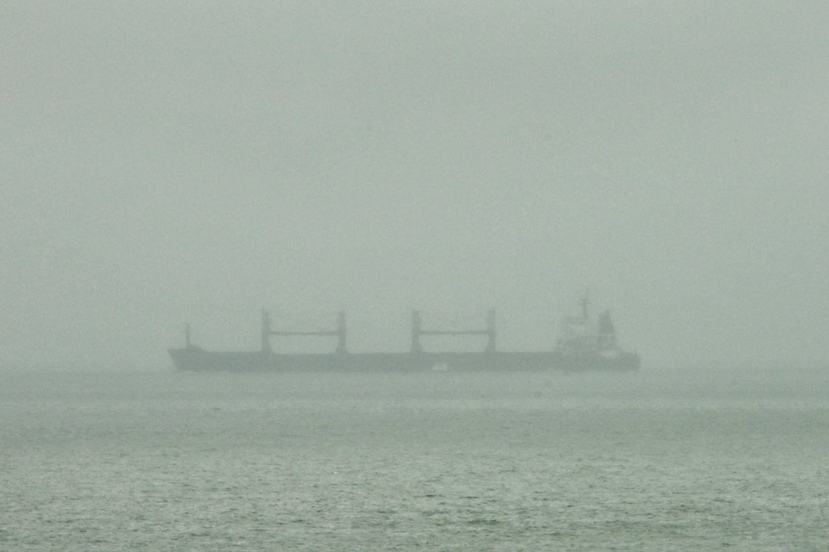 The RICHMOND PEARL, IMO:9347889 en route to Chesapeake, Virginia, flying the flag of Liberia 🇱🇷. With the #PilotBoat RICHMOND 🇺🇸 alone side. #ShipsInPics #BulkCarrier #RichmondPearl