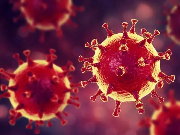 🇨🇳 | Investigadores en China prueban una variante mortal del coronavirus, con una tasa de letalidad del 100% en ratones modificados genéticamente, reporta Daily Mail.