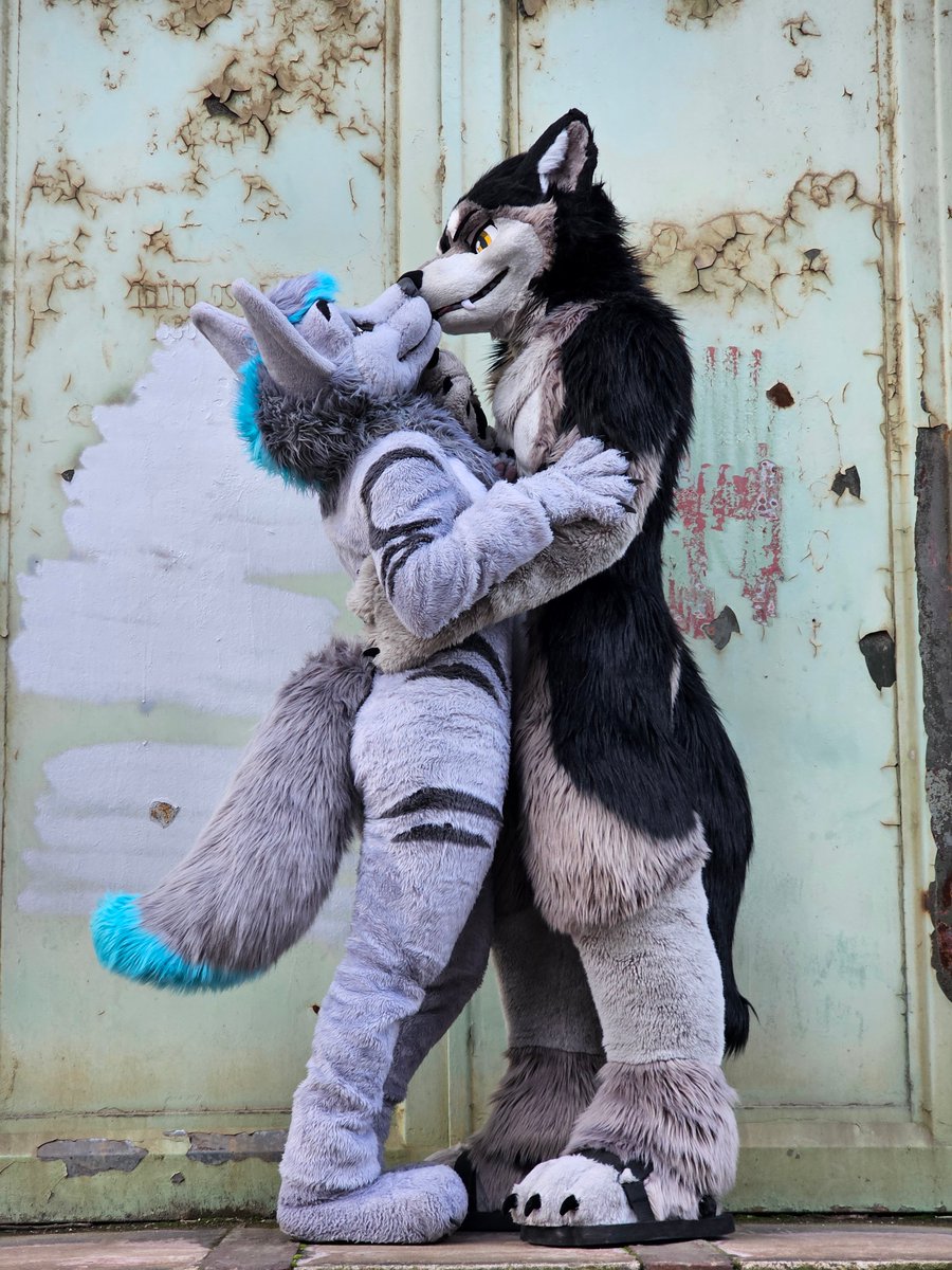Crash_Azarel's tweet photo. When the big wolf pulls your chin up... huff uwu @tsumef4n https://t.co/cbrfJCPhR2