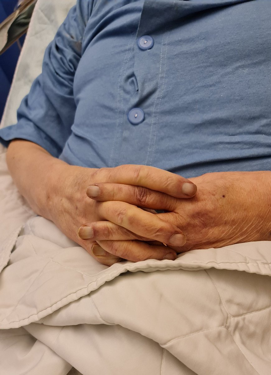 Satumaan tweet media