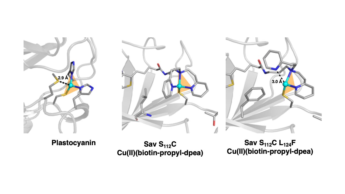 Borovik Lab tweet media