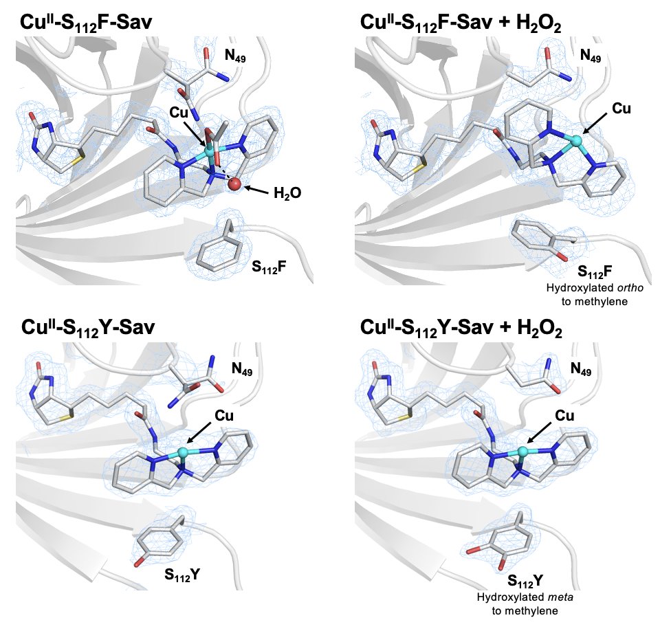 Borovik Lab tweet media