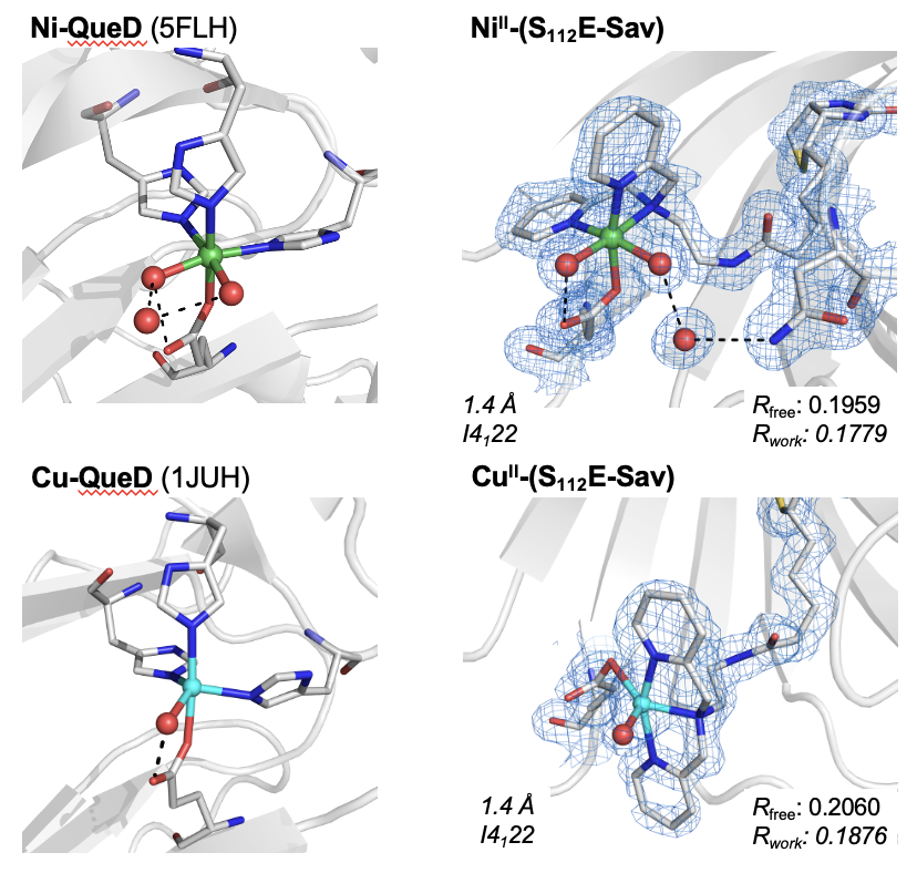 Borovik Lab tweet media