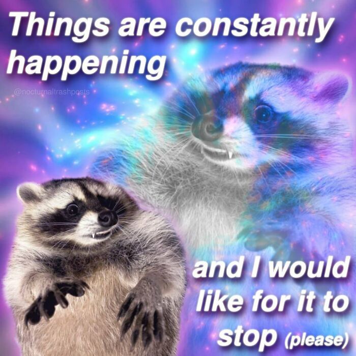 MulberryEvening💀💫 tweet media