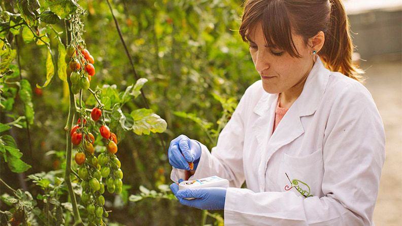 huerta_digital's tweet photo. Inteligencia artificial: la gran aliada de la nueva agricultura
@platformtierra 🖱️ https://t.co/e7NnMMIviq https://t.co/bClFldz6aN