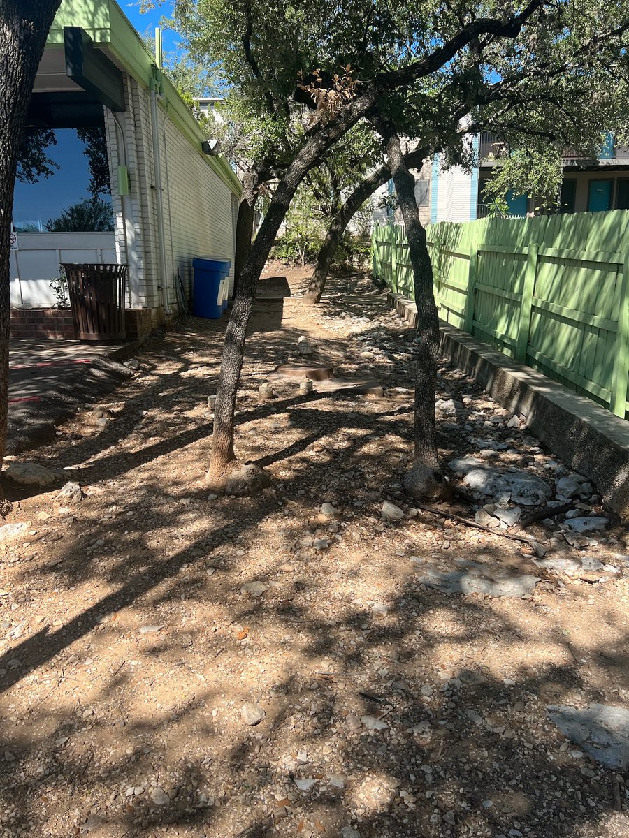 Sage Rosenfels tweet media