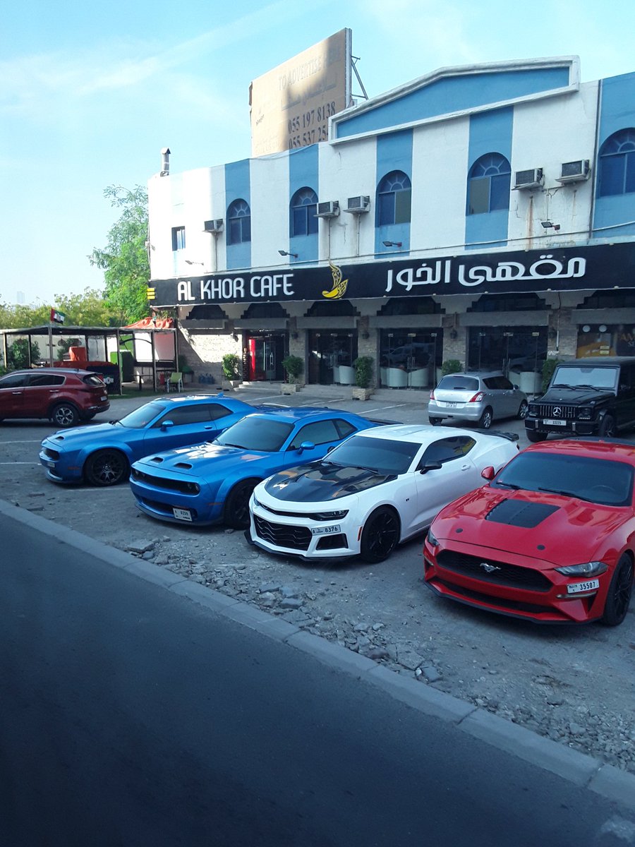 الناس شايفه المغترب كدا