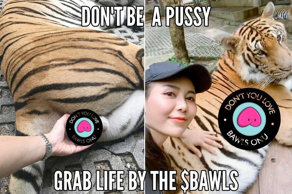 PoisonFrog74's tweet photo. $BAWLS has staying power, #Trending top 10 #AVAX for over 2 weeks now. Don't miss the 🚀get on before we moon, you heard it here first! @BawlsOnu is the best feeling you could get this early in 2024. Come grab a sack on @VaporDex off @VAPORCHAlN , an amazing ecosystem on #AVAX https://t.co/RKvX3L0Uhr