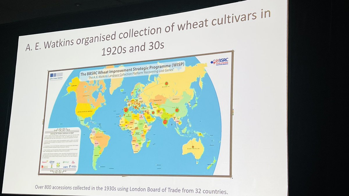 Simon Griffiths from @JohnInnesCentre presenting very impressive work on genetic and genomic characterization of the Watkins Collection of wheat in #Genomics_Assisted_Breeding in @PAGmeeting . It is a huge resource for wheat improvement.