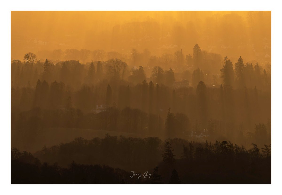 It’s always very hard to narrow down a top 4 for #sharemondays2024, but these are the 4 I’ve selected. @RichardFoxPhoto @bebedi123 @z70photo and @Supergios. Winner a little later.