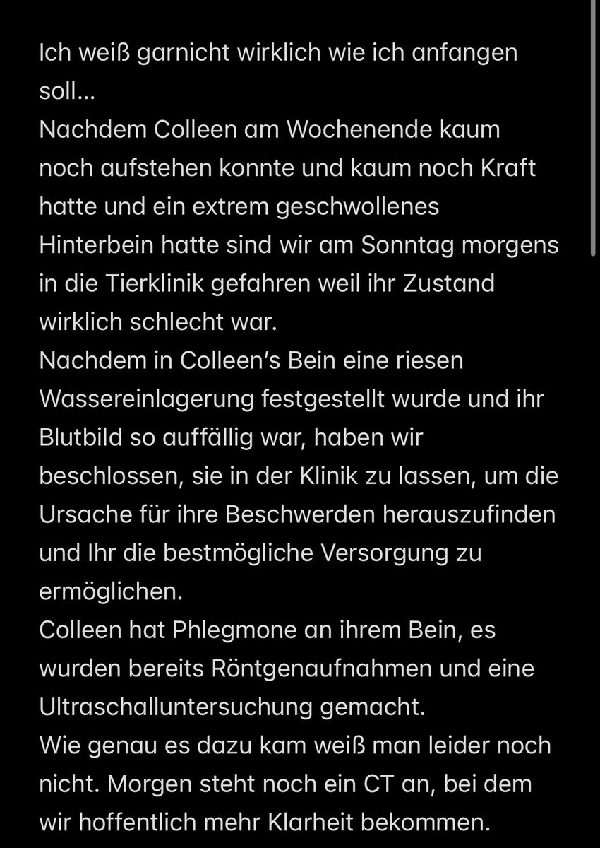 larissa_kruki's tweet photo. Unterstützung für Colleen🤍
vlt kann der ein oder andere uns ja unterstützen…

https://t.co/GcHHOxdG6E https://t.co/SP1aPLTuTx