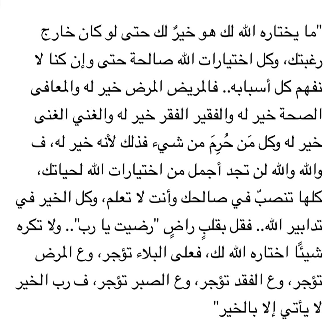Raneem tweet media
