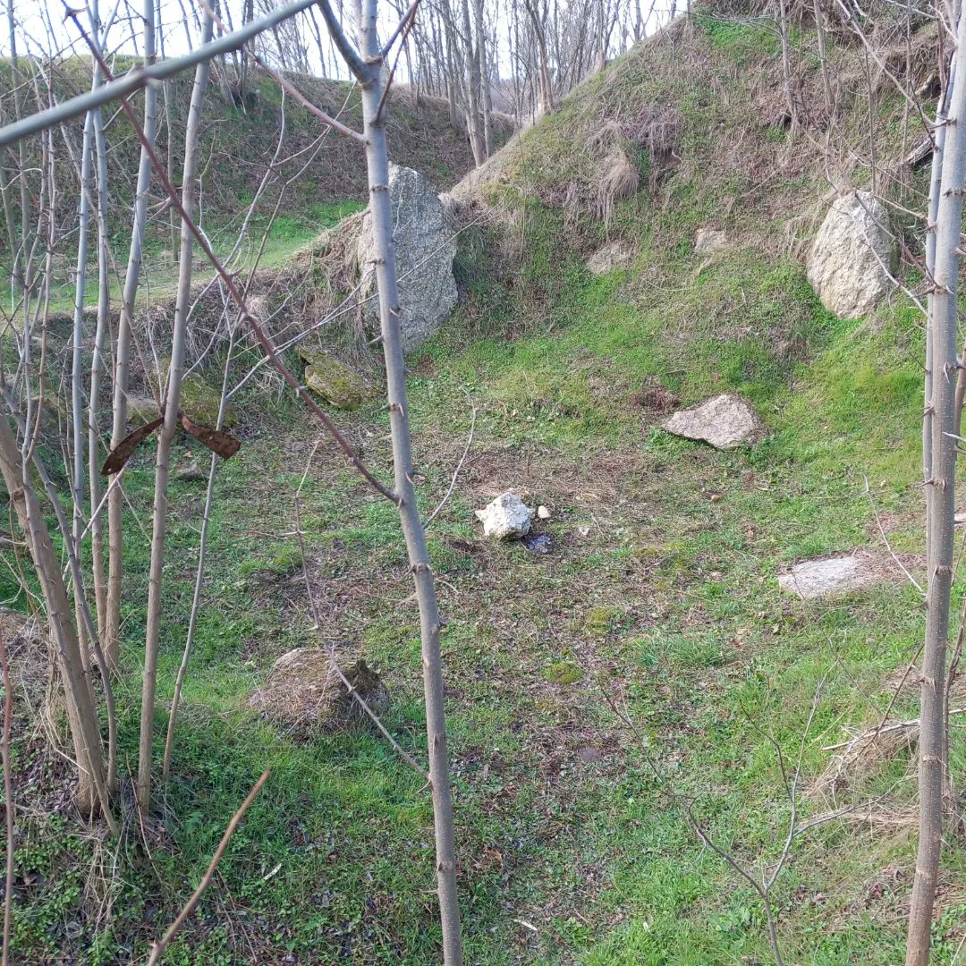 ModernExplorerz's tweet photo. I visited an excavated mound today, in Staro Zhelezare, Bulgaria. They found a stone circle inside, heavily damaged but a fascinating place, and more stones saturated in crystals
#dolmen #ancienthistory #megalithic #standingstones #exploring #travelphotography #travel #vanlife https://t.co/gNxVkIHyIh