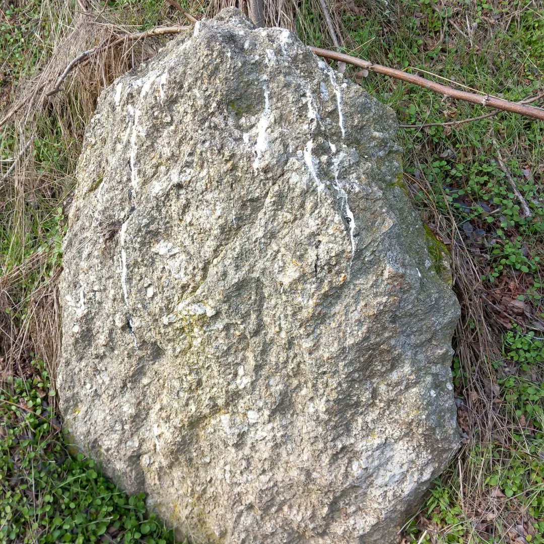 ModernExplorerz's tweet photo. I visited an excavated mound today, in Staro Zhelezare, Bulgaria. They found a stone circle inside, heavily damaged but a fascinating place, and more stones saturated in crystals
#dolmen #ancienthistory #megalithic #standingstones #exploring #travelphotography #travel #vanlife https://t.co/gNxVkIHyIh