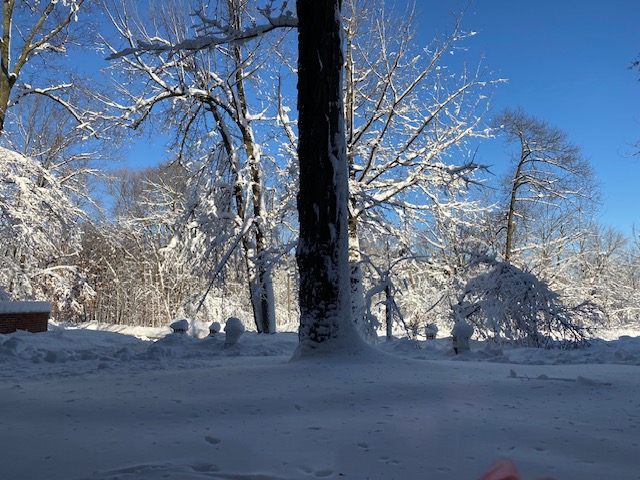 tmjassociation's tweet photo. We got over 1 1/2 ft of snow Friday.  Our office building lost power due to the heavy snow. Yesterday the power came back on but the power surge damaged the heating system. Today is our first day back in the office. This is January and this is Wisconsin!  Life is good. https://t.co/Qi6iDCWCcl