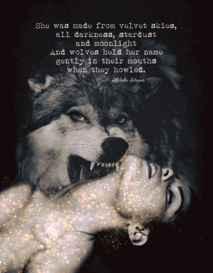 Born to be wild. 🐾🐺

#wolf #wolves #tuesdayvibe #TuesdayFeeling #Knoxville #Woke #Aaliyah #TuesdayMorning #Canadians #snow #Loser #TuesdayThought #TheQueen #AmericaFirst #TacoTuesday #thicktrunktuesday #JUSTANNOUNCED #Losers #Lisa