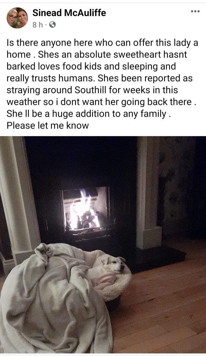 Can anyone help - in #Limerick 💕