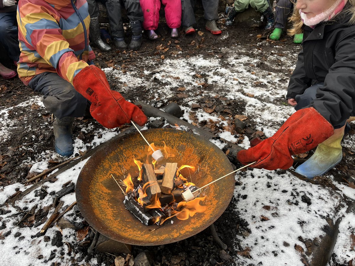 Forest School ACE tweet media