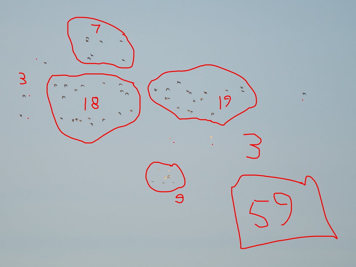 Bill Dennis tweet media