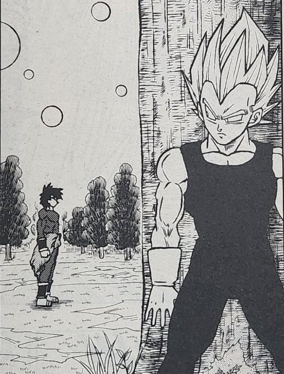 DailyVegetaIV's tweet photo. https://t.co/ZtCU5N0OKA