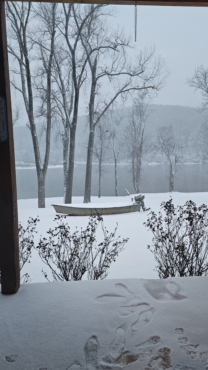 LAWSONLINN's tweet photo. January '24 snow. Izard county. @ryanvaughan https://t.co/uiBeymuqkj