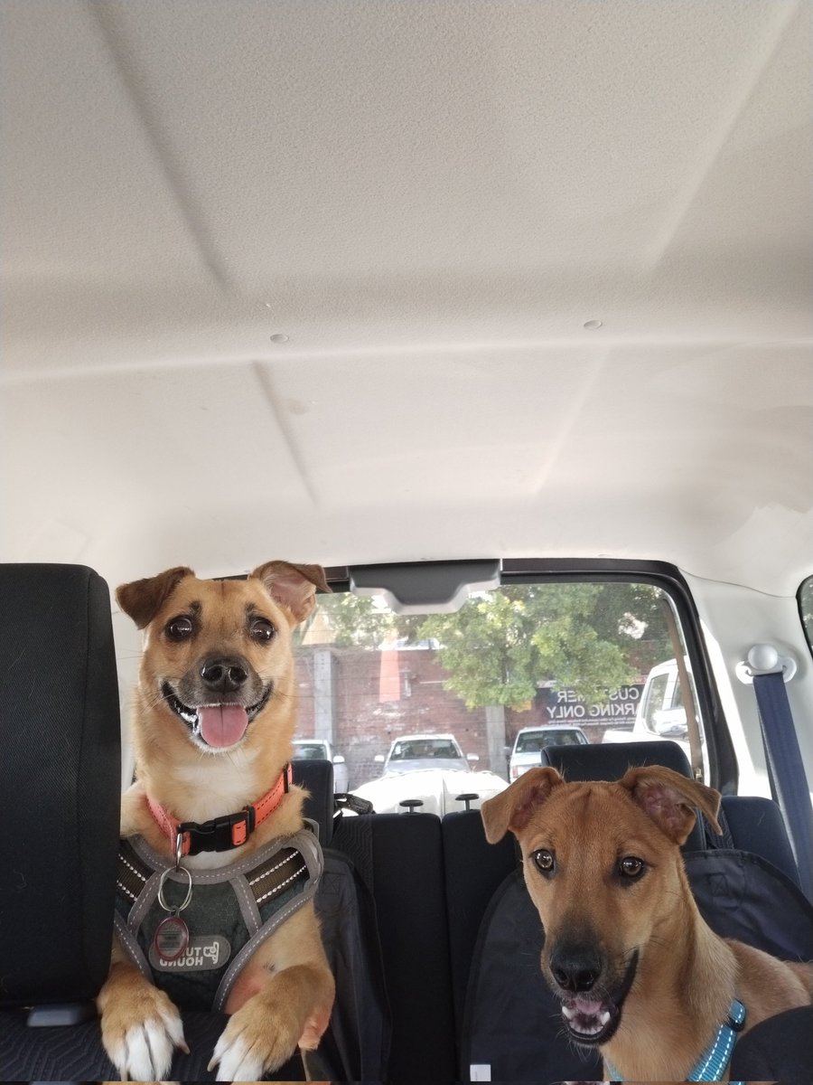 Gillian Chapman tweet media