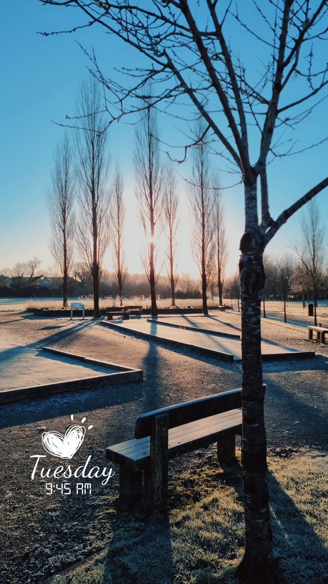 diarmuidpring's tweet photo. Day16 #100daysofwalking We are blessed to have Castletroy Neighbourhood Park close by to where we live in #Limerick and what a fabulous mornings walk we had too, to set us up nicely for the day ahead! #Round2Crew πΆββοΈ https://t.co/wySvOuh5Rm