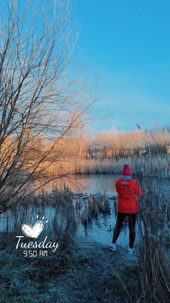 diarmuidpring's tweet photo. Day16 #100daysofwalking We are blessed to have Castletroy Neighbourhood Park close by to where we live in #Limerick and what a fabulous mornings walk we had too, to set us up nicely for the day ahead! #Round2Crew πΆββοΈ https://t.co/wySvOuh5Rm