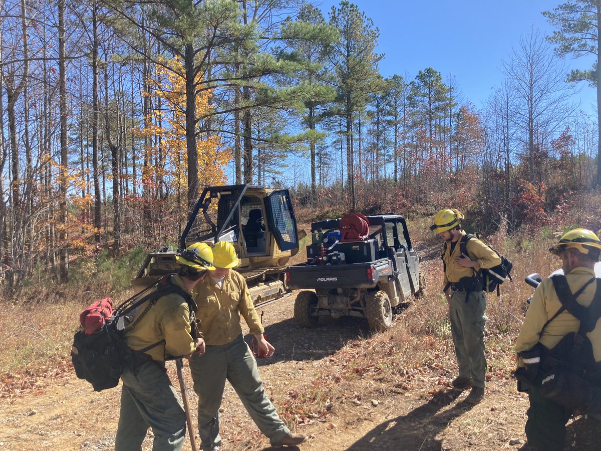 BotanyRoger's tweet photo. TN Division of Natural Areas has openings for 2 positions with natural area management on W Highland Rim and Cumberland Plateau. @TNEnvironment @naturalareas @TennStateParks @nature_TN @UAForestLab 
 
https://t.co/McWpHVbqC7 https://t.co/i9YSz4eJPZ