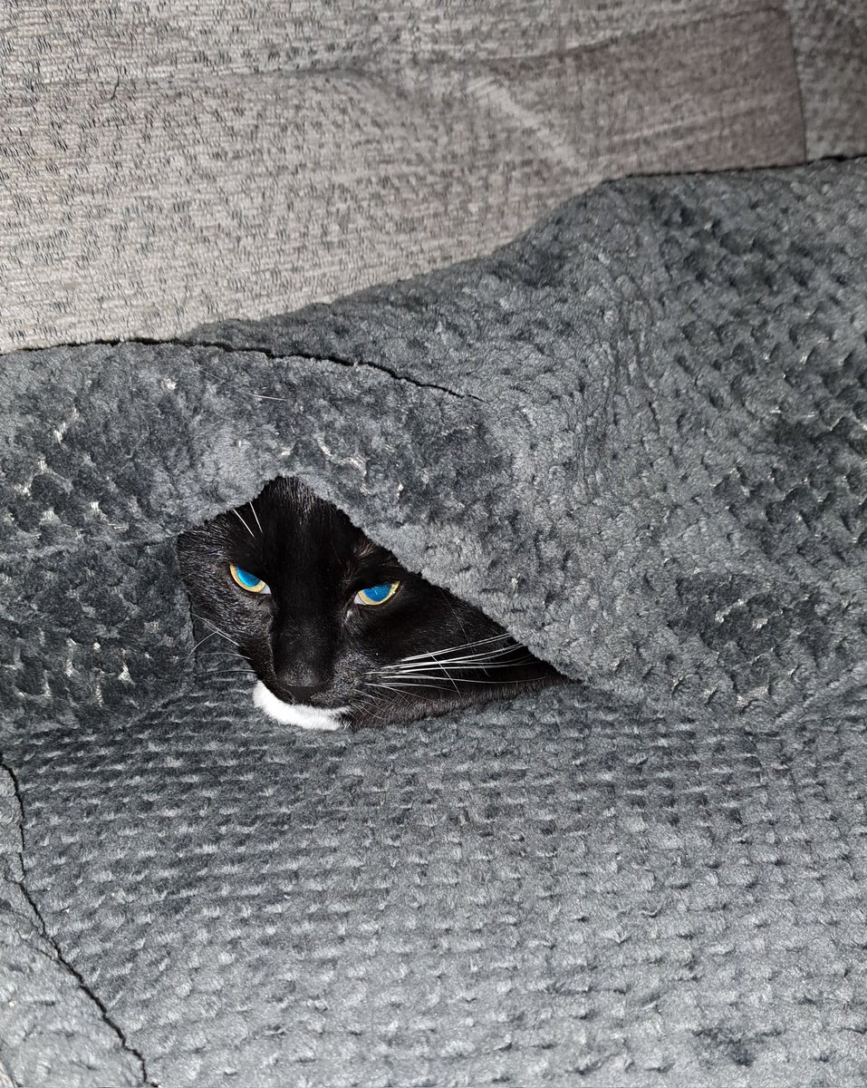 #Littleellie  it's minus 3 outside however ellie's got a new blanket.