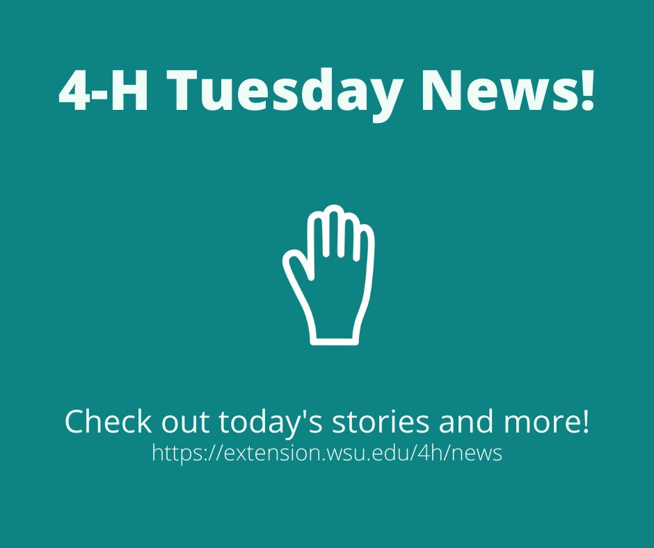 Washington State University 4-H Program (@wastate4h) on Twitter photo Tuesday News is now available! Check out the new stories and catch up on missed ones at extension.wsu.edu/4h/news Tuesday News is now available! Check out the new stories and catch up on missed ones at extension.wsu.edu/4h/news
