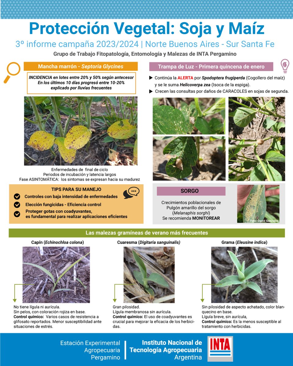 INTA Pergamino tweet media