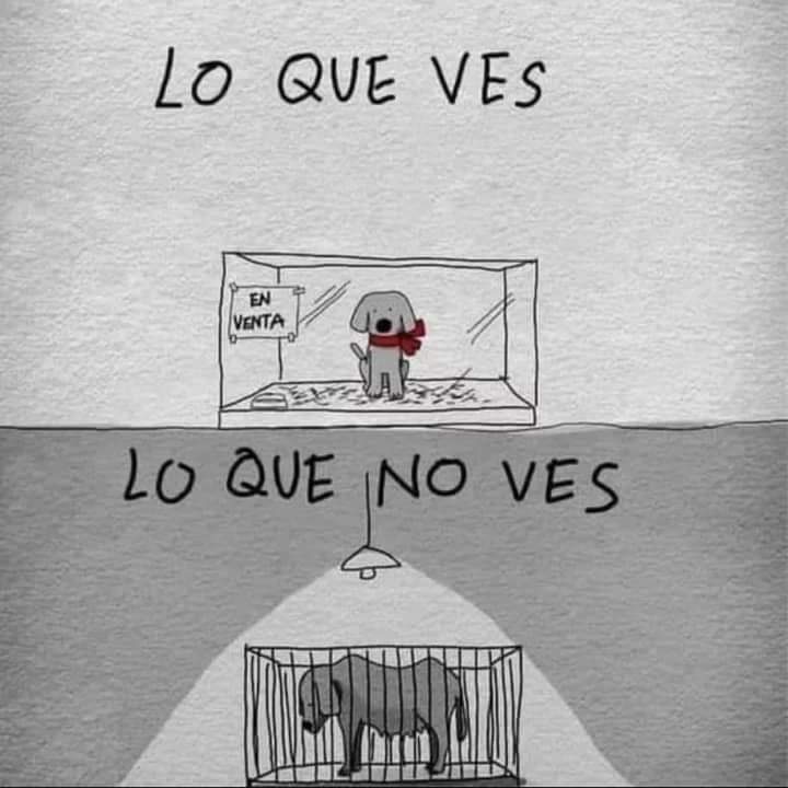 Moisés Silvestre (@moi6ito91) on Twitter photo 