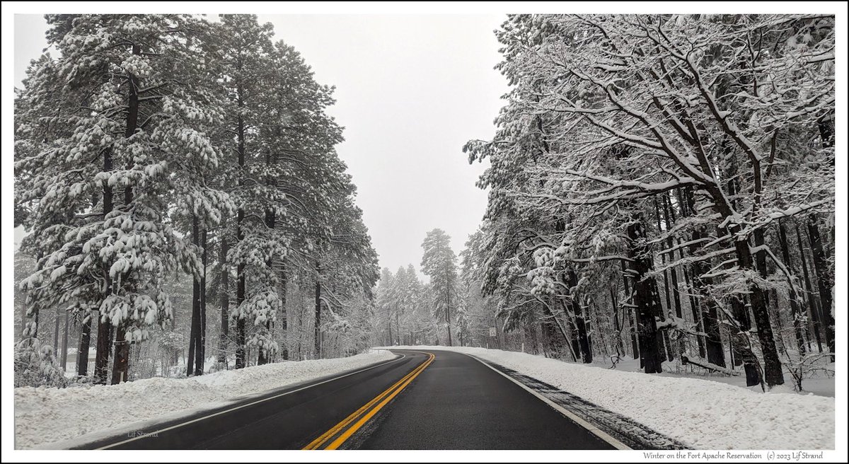fasterhorses's tweet image. Winter on the Fort Apache Reservation
(c) 2023 Lif Strand #Photography #FortApache #landscape #nature #Gaia
ko-fi.com/i/IV7V4TF78X