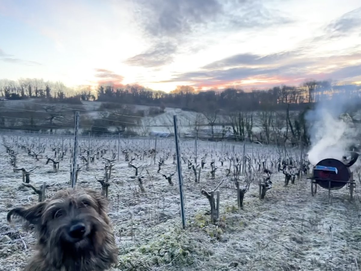 Corentin (@corentin__j) on Twitter photo 