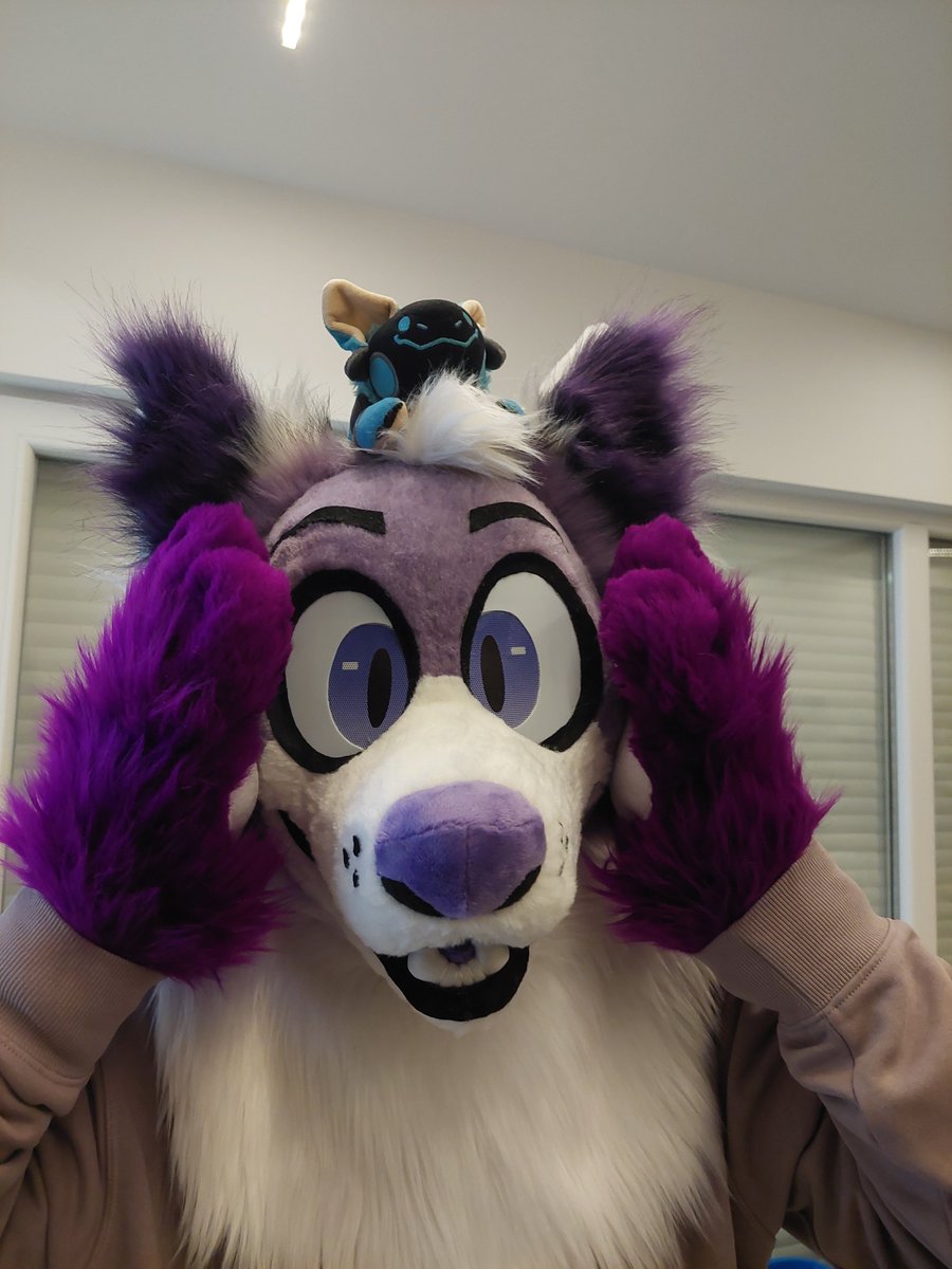 Absolute Luck tweet media