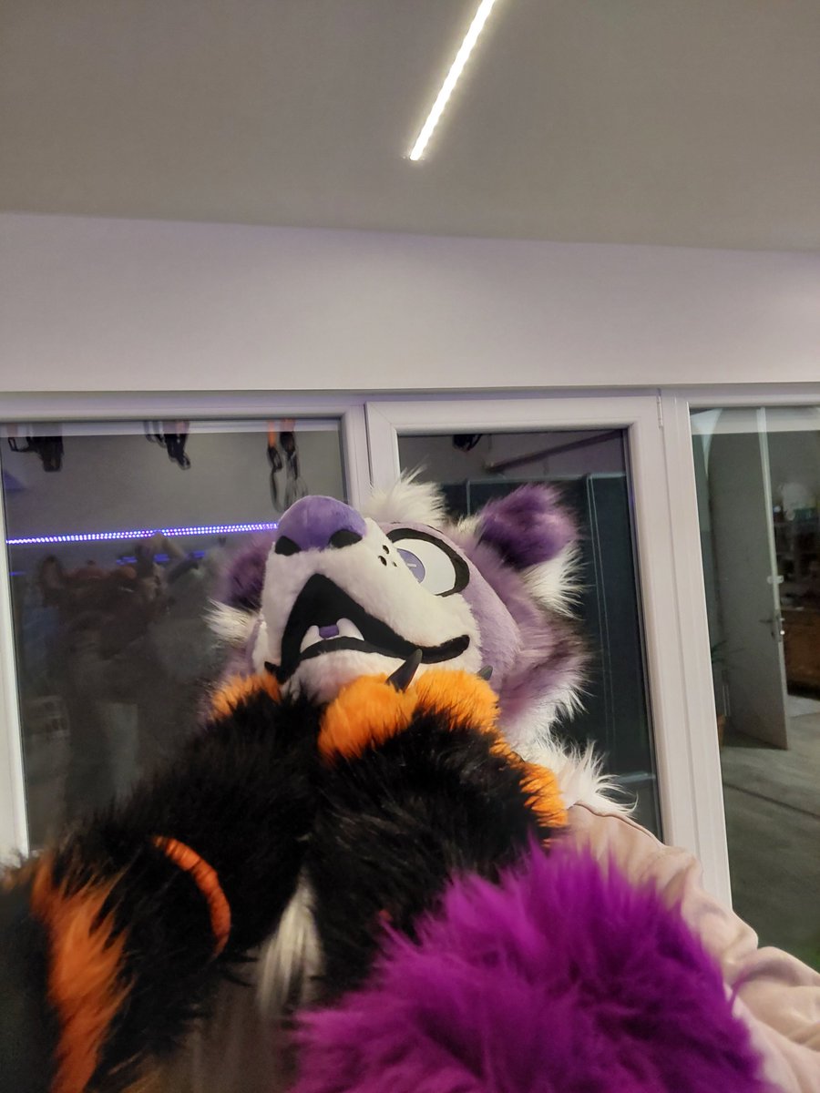 Absolute Luck tweet media