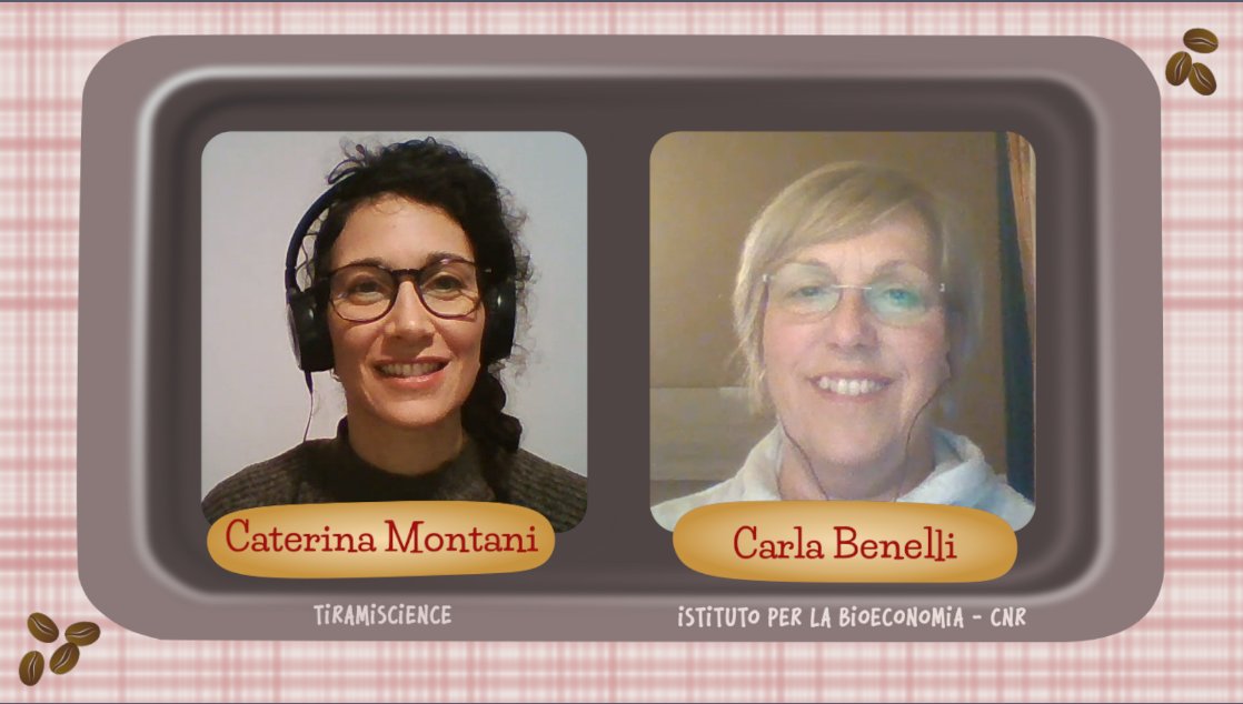‼️🚨SIAMO LIVE🚨‼️
Che cosa e' una #criobanca? Come si conserva la #biodiversità?
Scopritelo con noi!
➡️ youtube.com/watch?v=DwlQPL…

@Life4Fir @cnrsocial #biodiversità #ecosistema #conservazione #vegetale #biotecnologie #criobanca